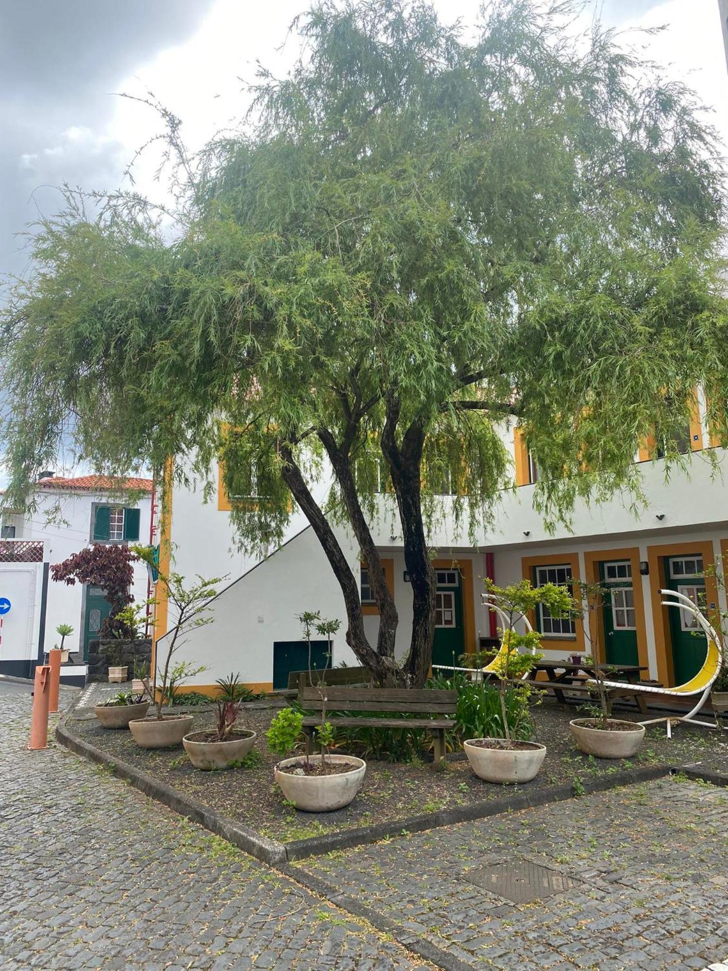Hospedaria Verdemar Horta  Dış mekan fotoğraf
